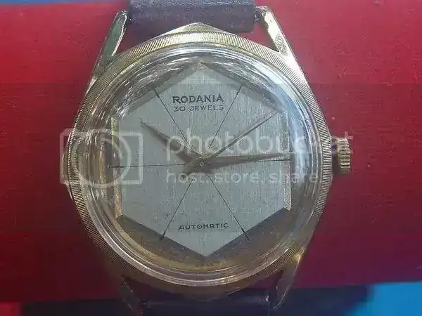rodania1-1.webp
