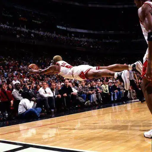 Rodman.webp