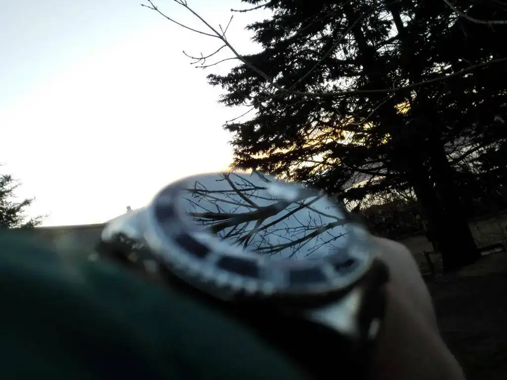 Rolex 1.webp