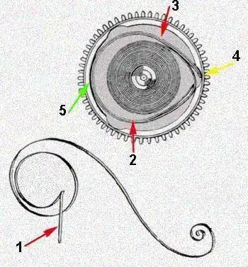 rolex.mainspring.webp