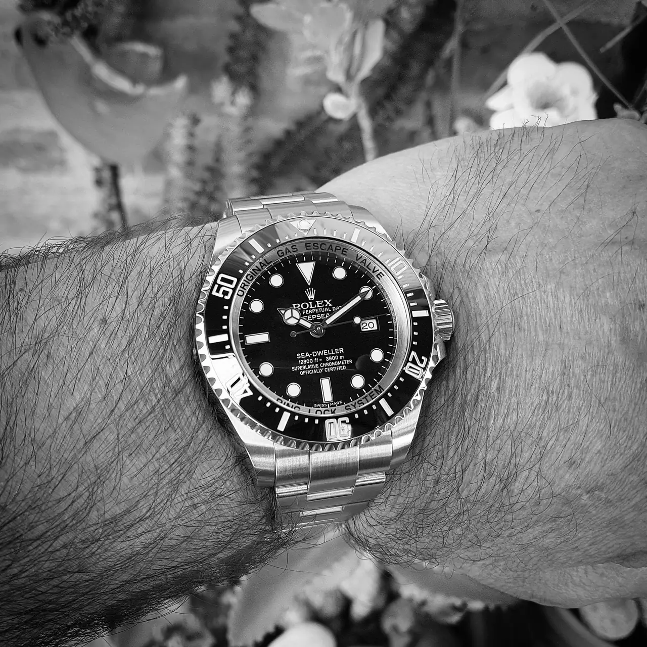 Rolex Sea-Dweller Deepsea 44mm Ref. 116660 (ByN).webp