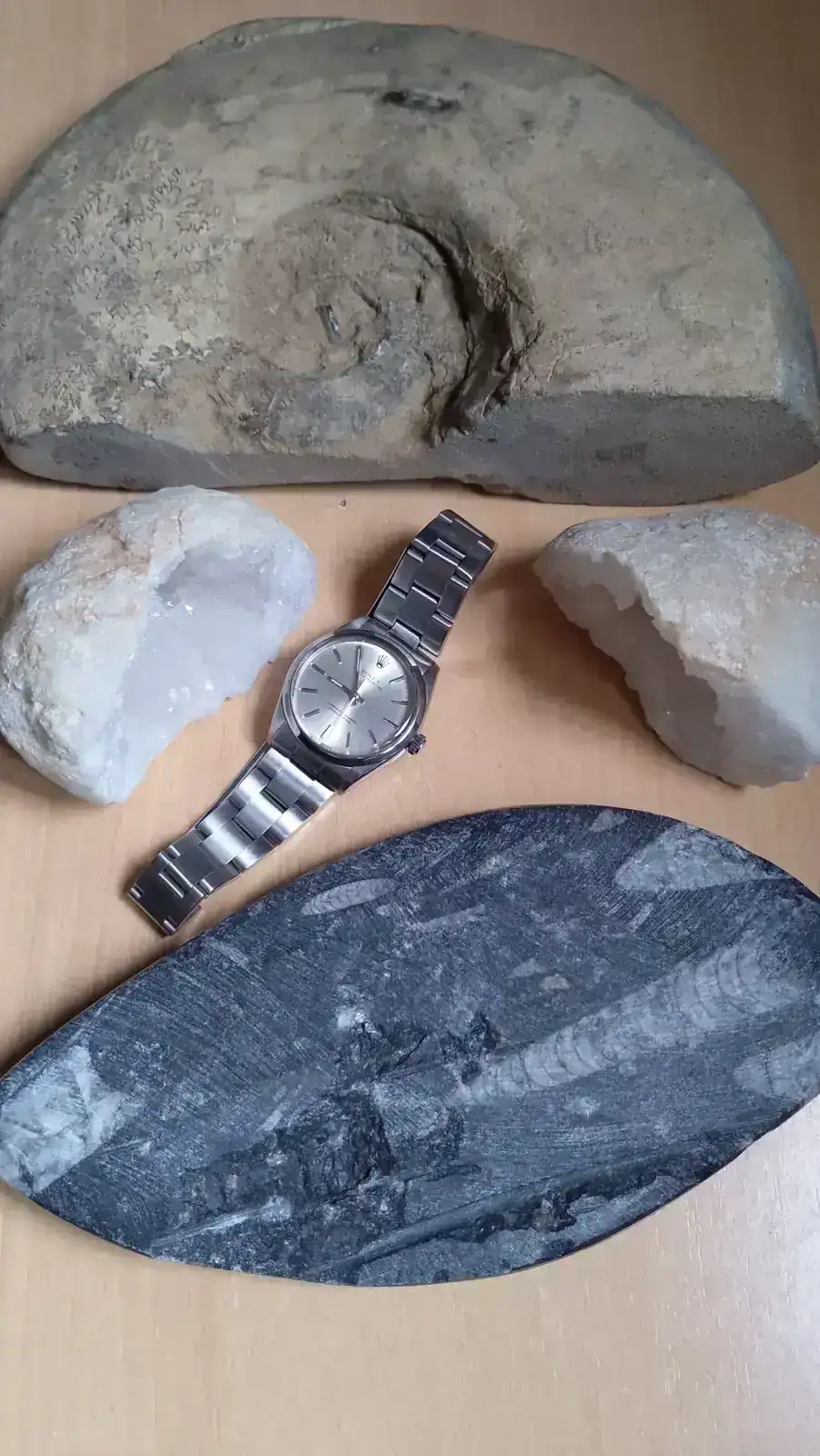 ROLEX Y FÓSILES 3.webp