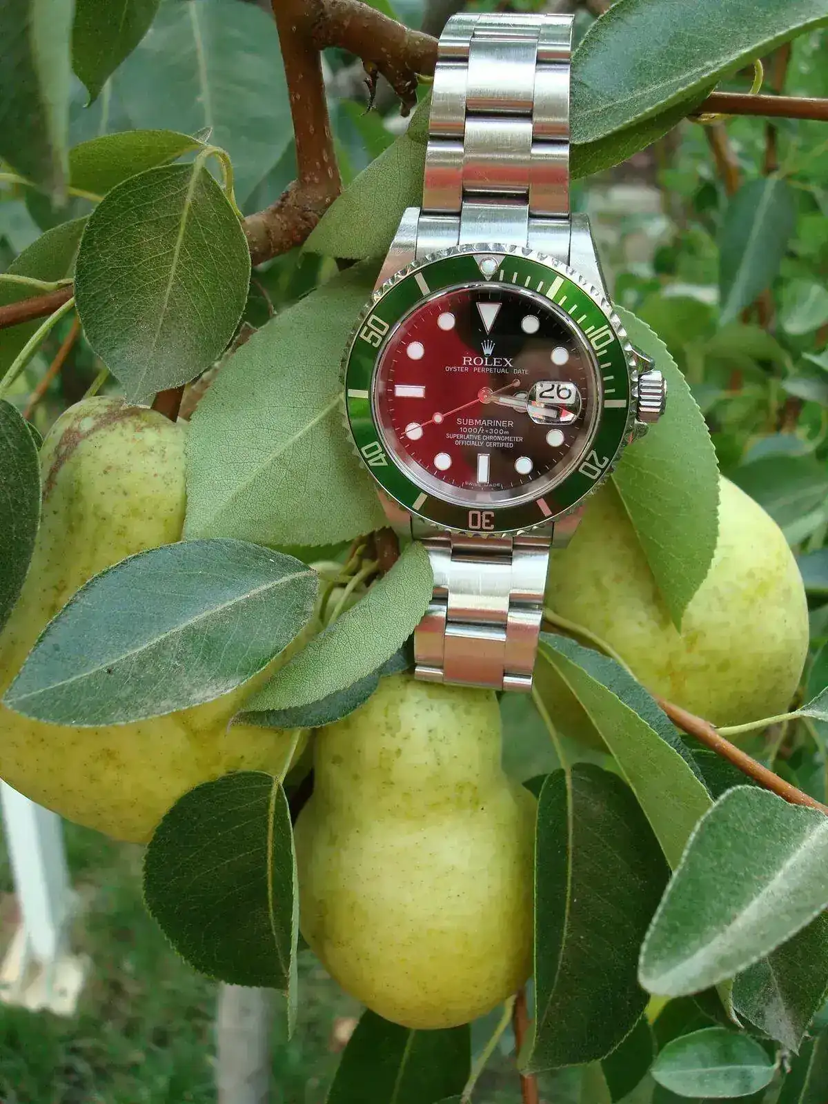 rolex1w.webp