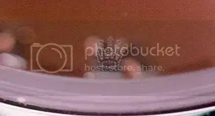 RolexCoronet179160.webp
