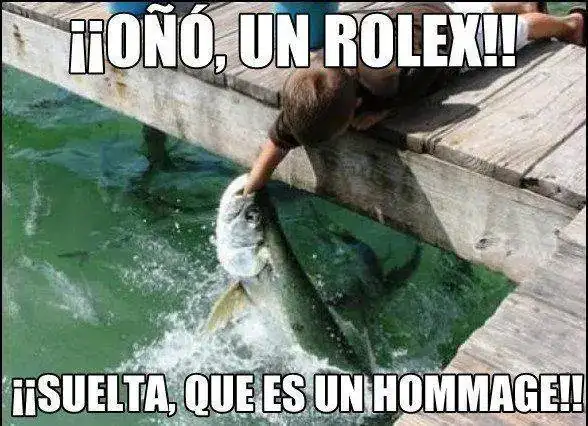 rolexhomage.webp