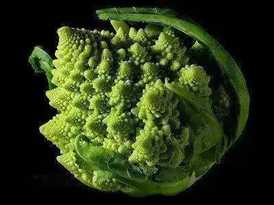 Romanescu.webp