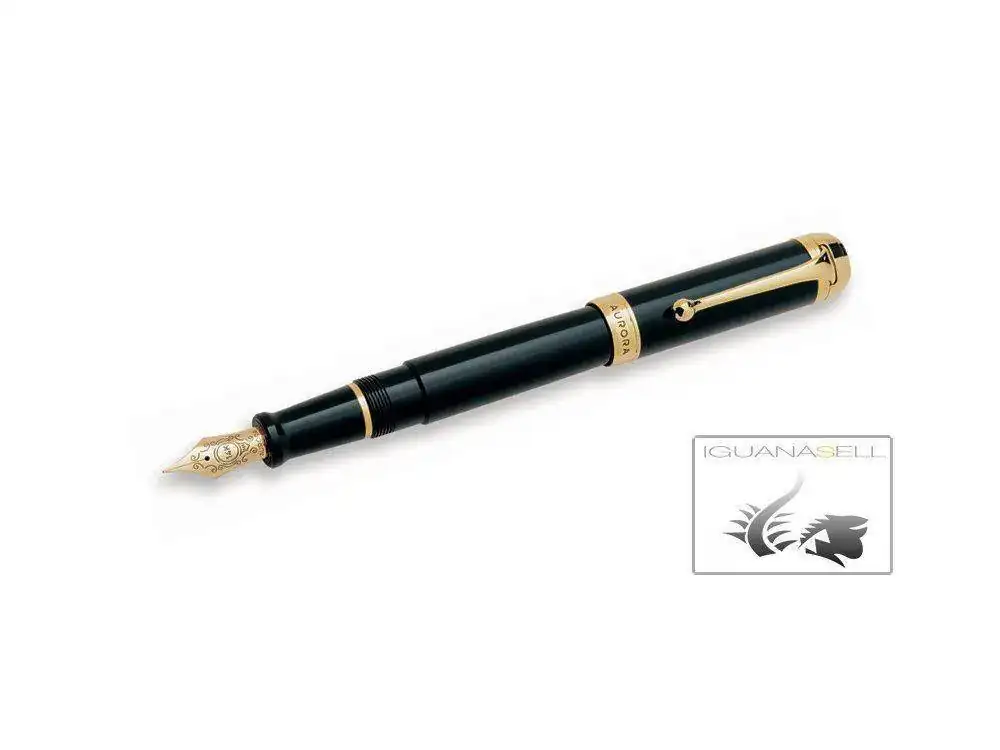 rora-Talentum-Fountain-Pen-Resin-Gold-trim-D12N--1.webp