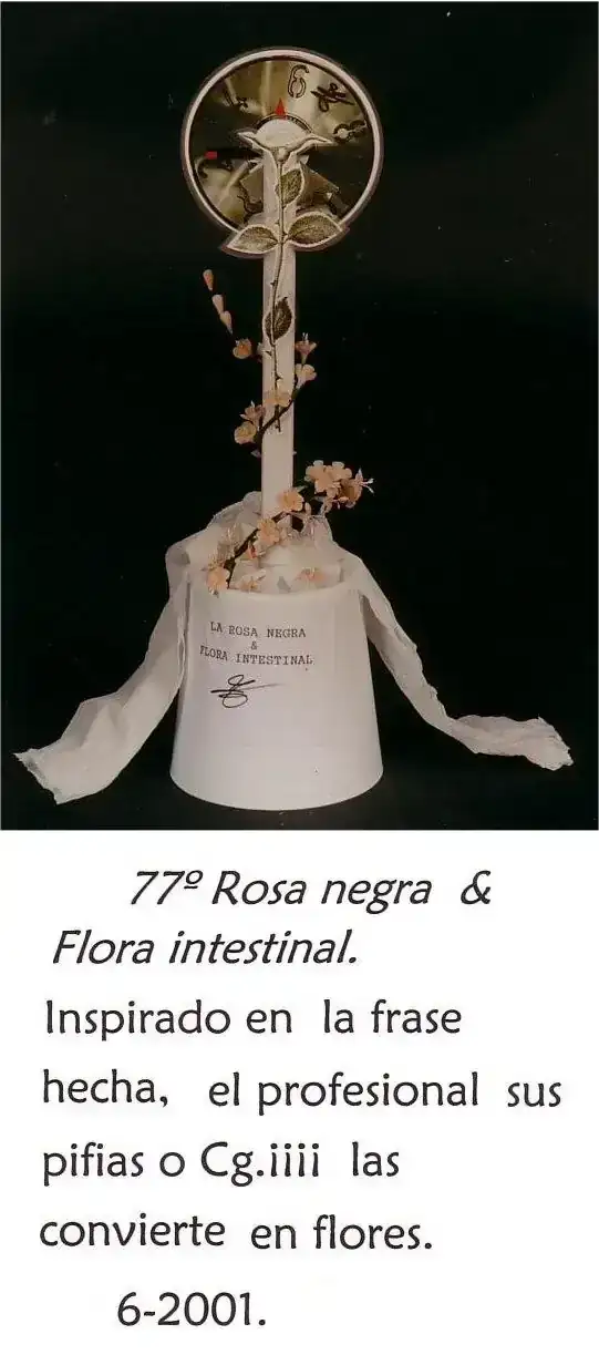 rosa_negra_&_flora_intestinal.webp