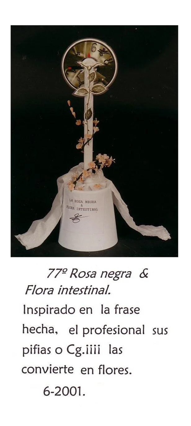 rosa_negra_&_flora_intestinal.webp