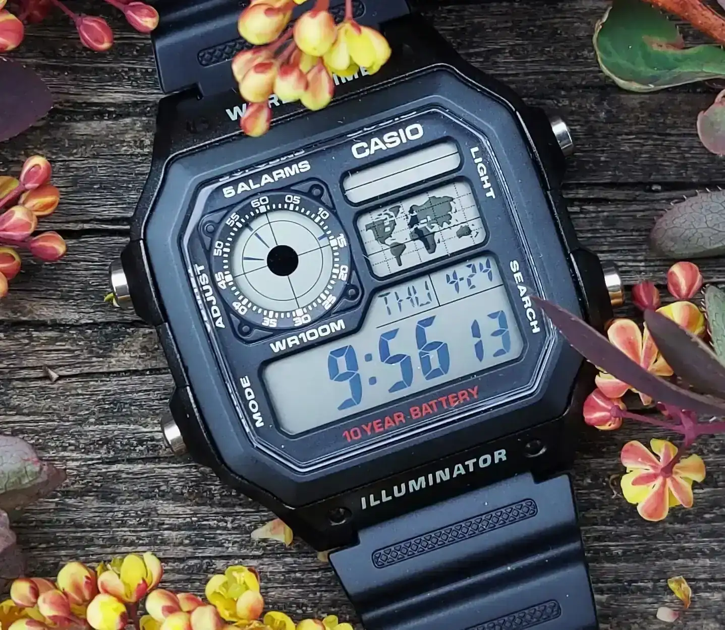 ROY20250423_090547 (3).webp