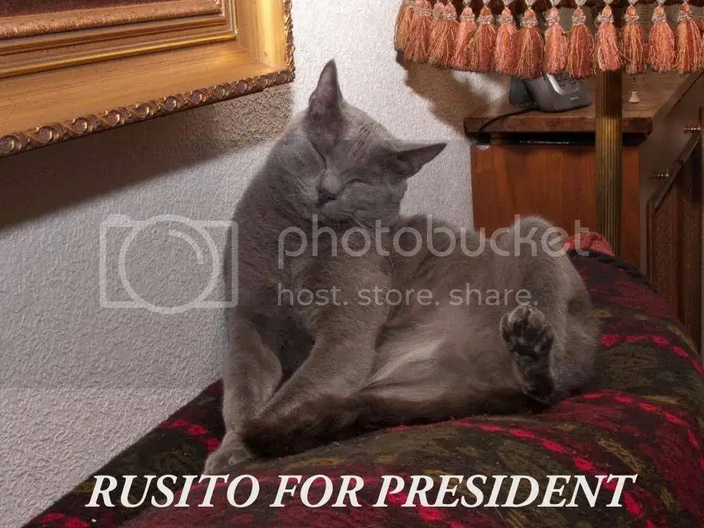 RUSITO-ANTONIOLOPEZ_3.webp