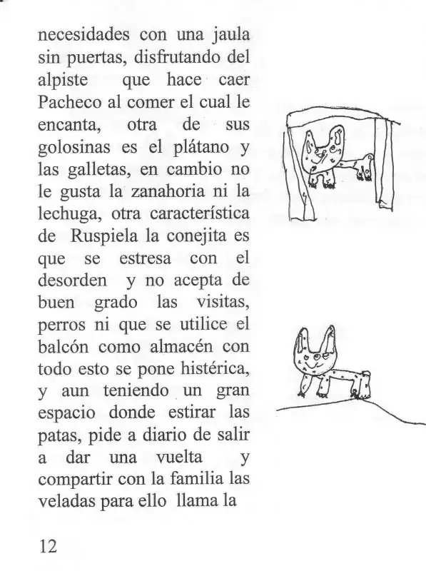 Ruspi 12.webp