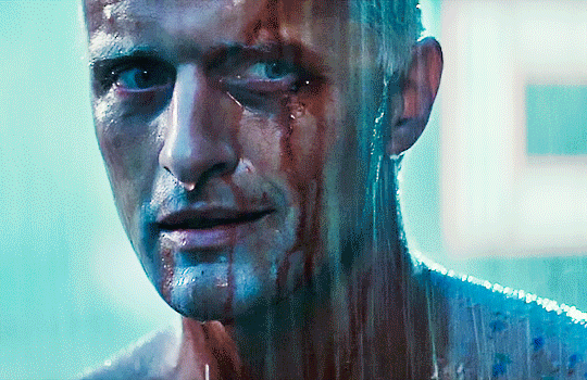 Rutger%2BHauer%2Bgig.gif