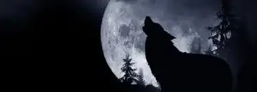 RvrBlO_BExiLeyw9CYfipcScgyV2WQe3JWwmLU5fAOobybepCq.webp