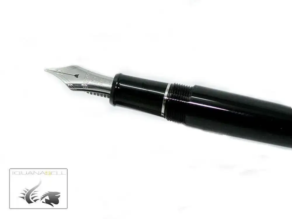 ry-Fountain-Pen-Resin-Chrome-trim-PNB-15000CR-1--1.webp