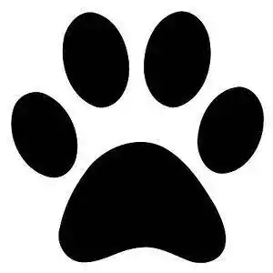 s-l300.webp