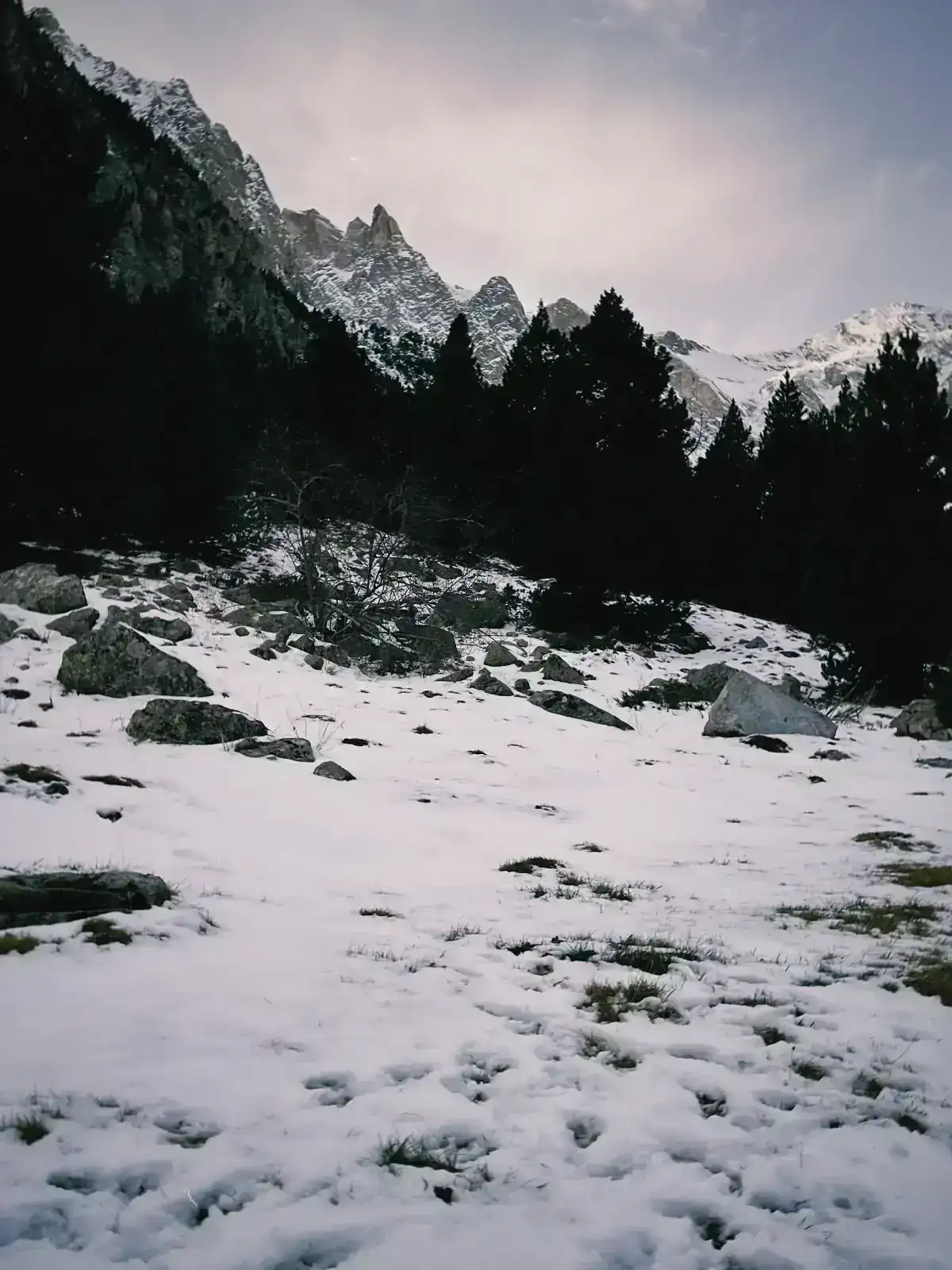 s67 2025-11-29 130136.973.webp