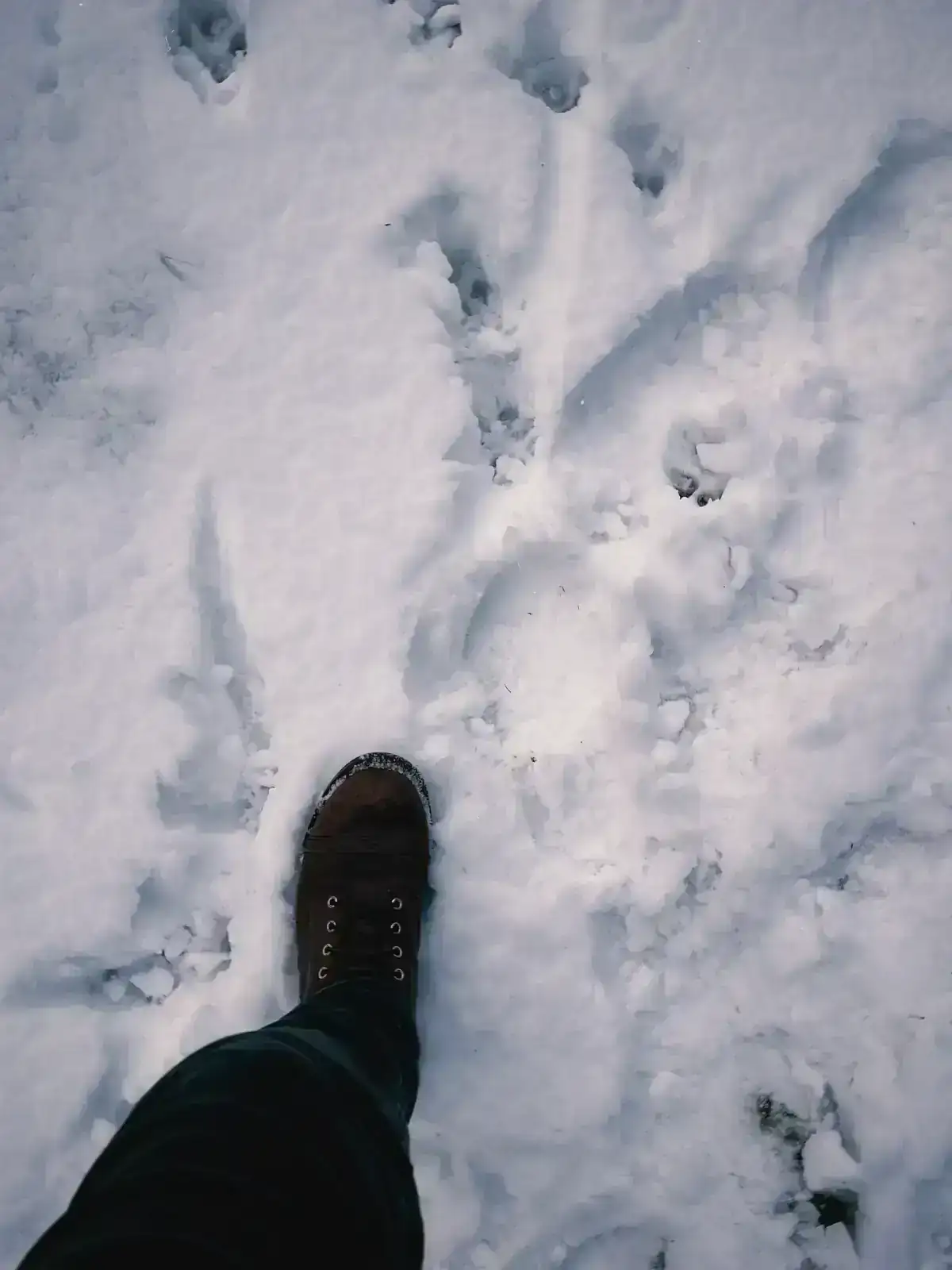 s67 2025-11-29 130145.914.webp