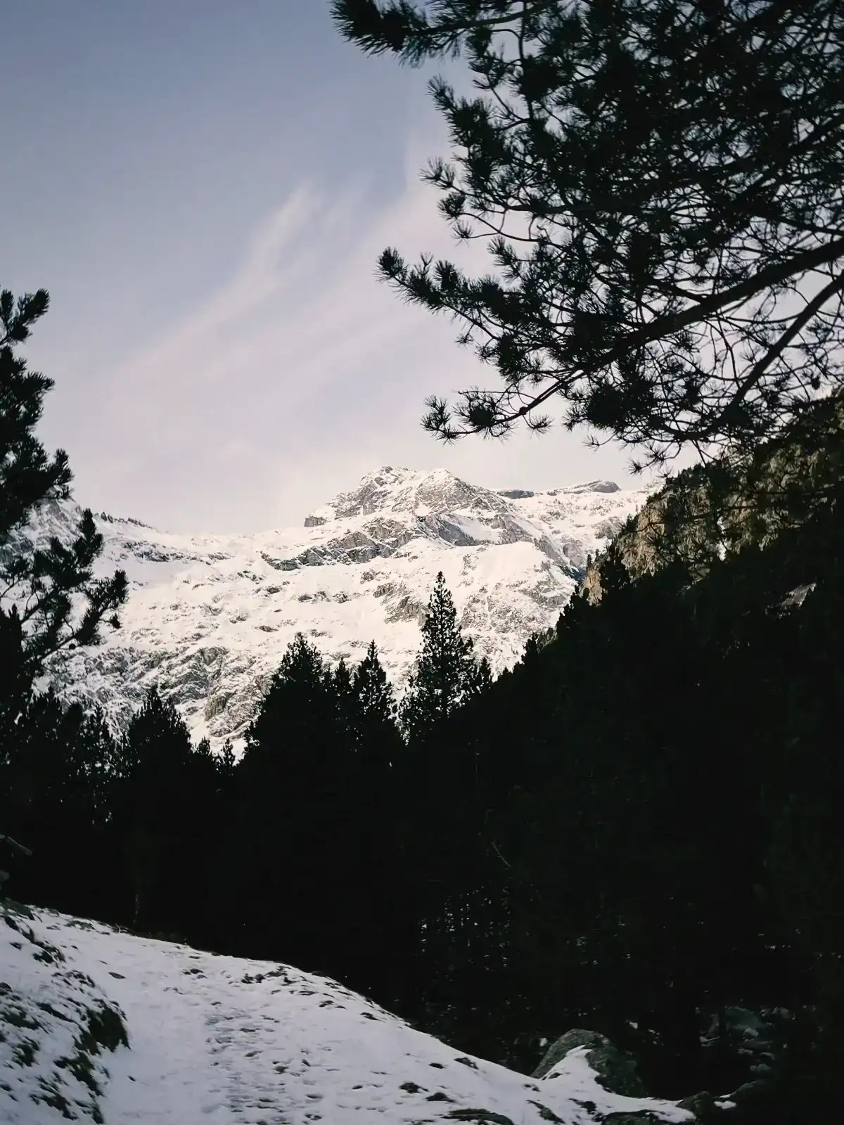 s67 2025-11-29 130209.941.webp