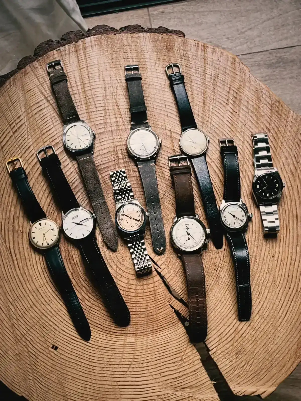 s67 2026-03-22 1020257059FF162456.webp