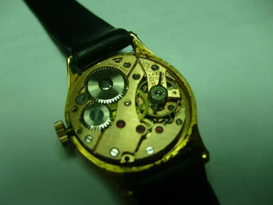 S7002364.webp