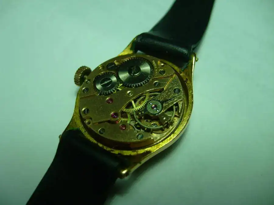 S7002366.webp