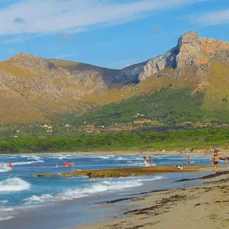Sa Canova _ Mallorca.webp