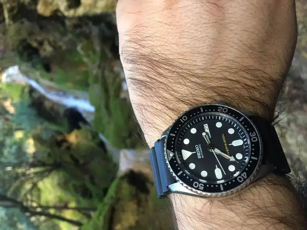 salt des freu seiko.webp