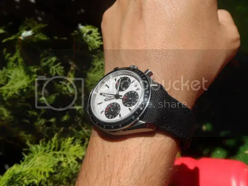 SAM_0578_zps72be7ac9.webp
