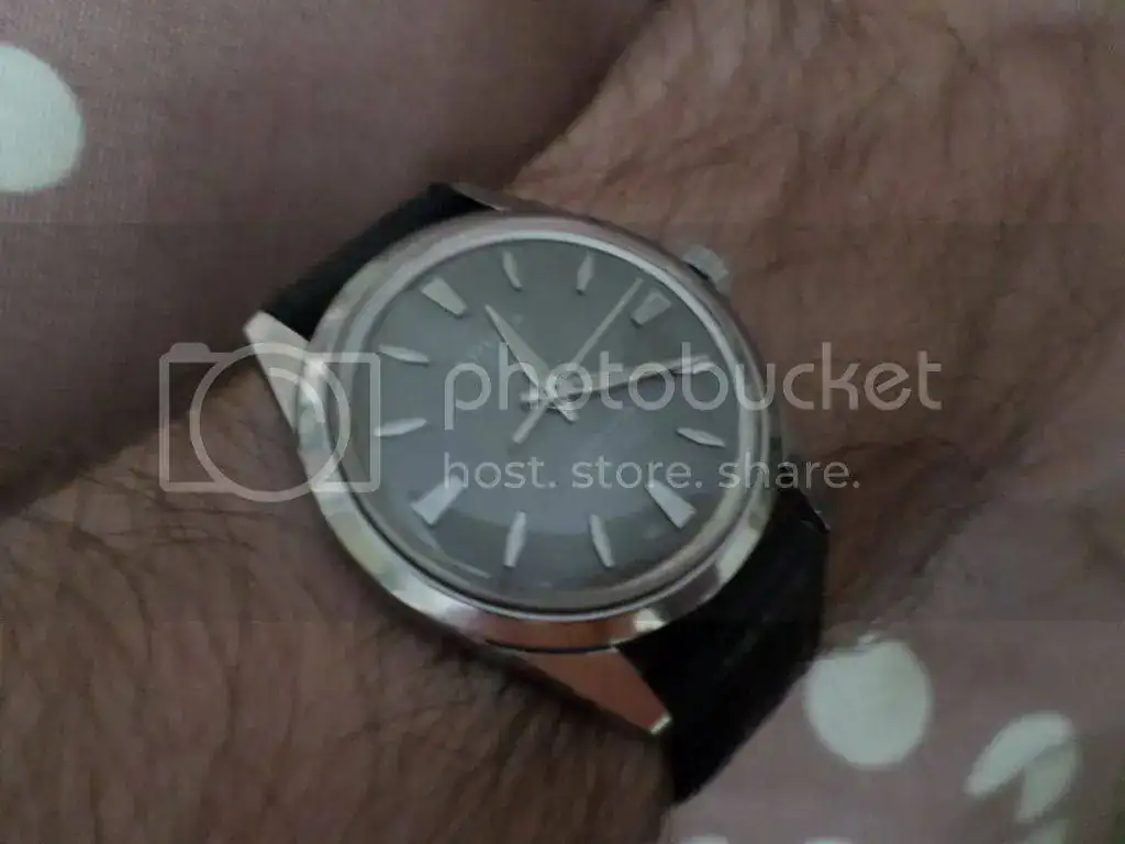 SAM_1272_zpsy6vyczaw.webp
