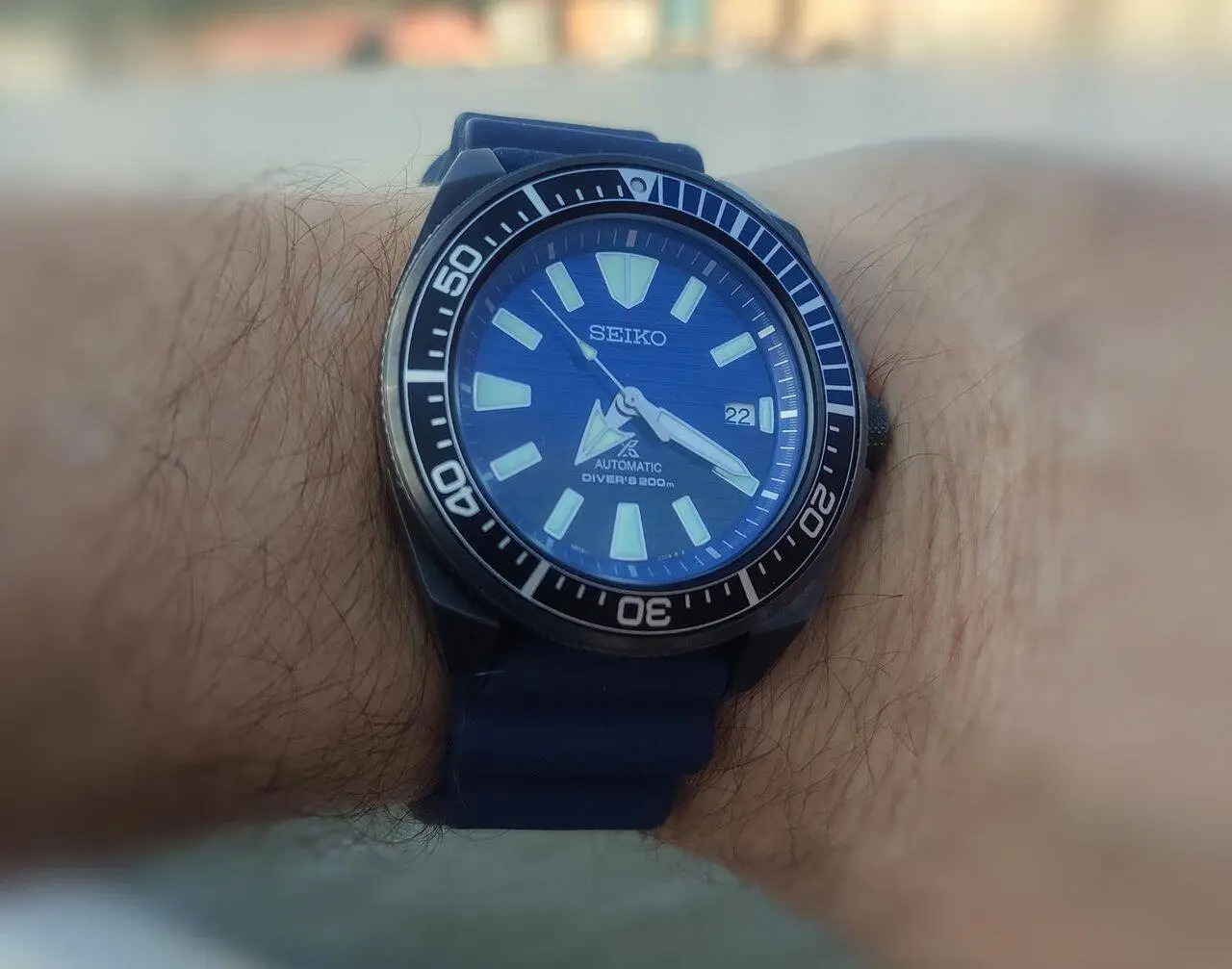 Samurai Save the ocean.jpg