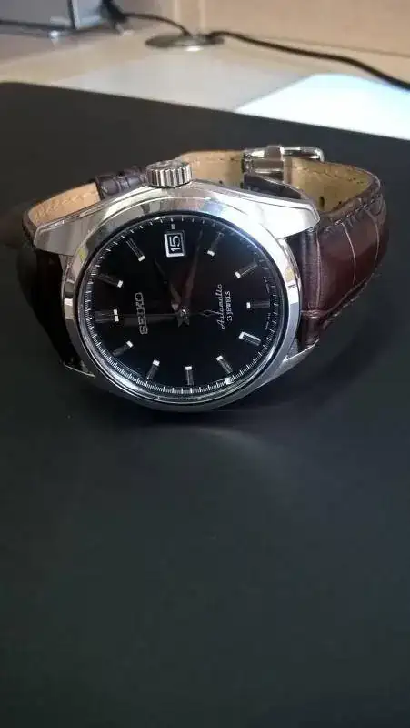 sarb033.webp