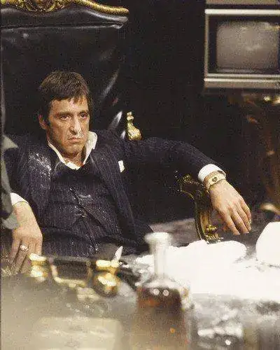 scarface_omega3-jpg.webp