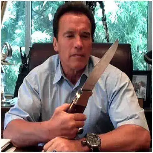 Schwarzenegger-knife.webp