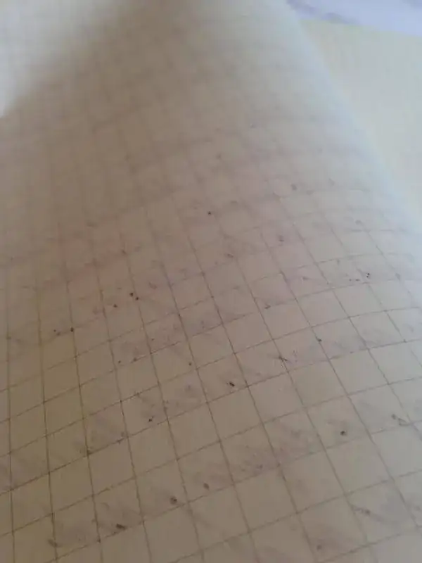 ScreenHunter_11 Apr. 20 11.22.webp