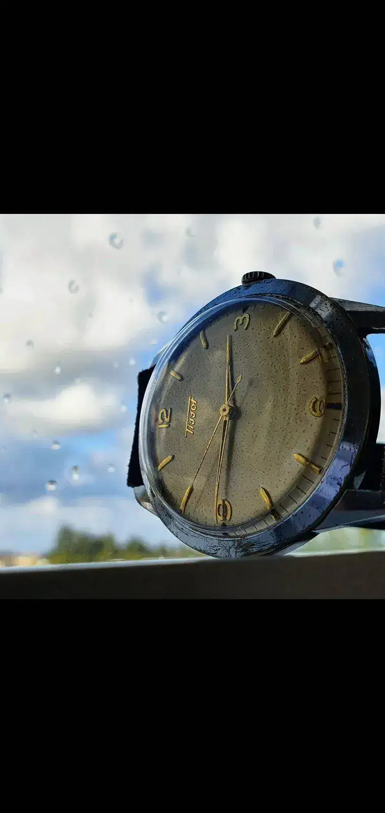 Screenshot_20211202-145303_Gallery.webp