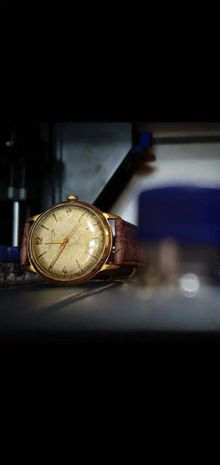 Screenshot_20220105-115506_Gallery.webp