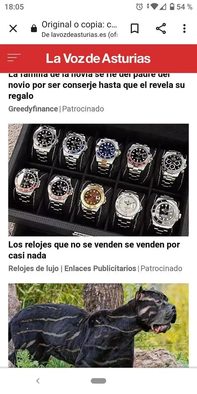 Screenshot_20220515-180541.webp
