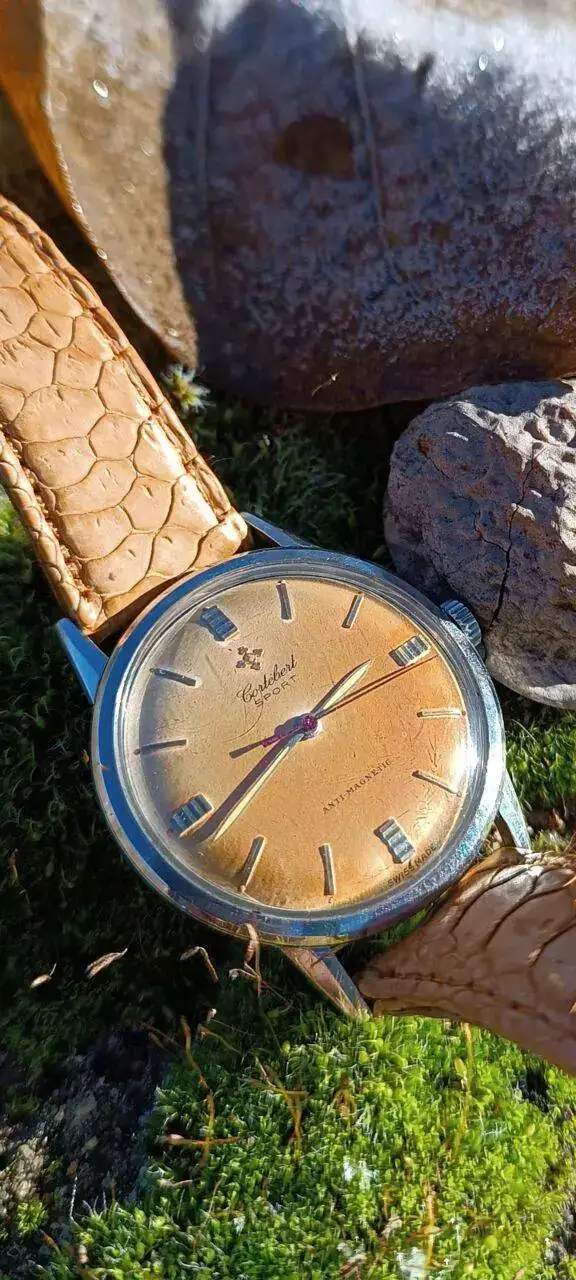 Screenshot_20221204-191959.webp