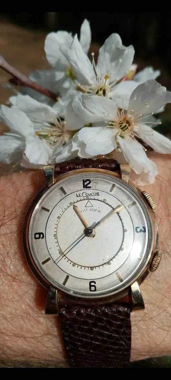 Screenshot_2023-05-24-01-54-49-257_com.miui.gallery.webp