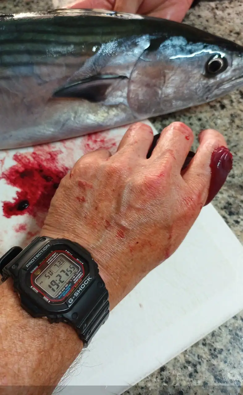 Screenshot_20240729_092842_Gallery.webp