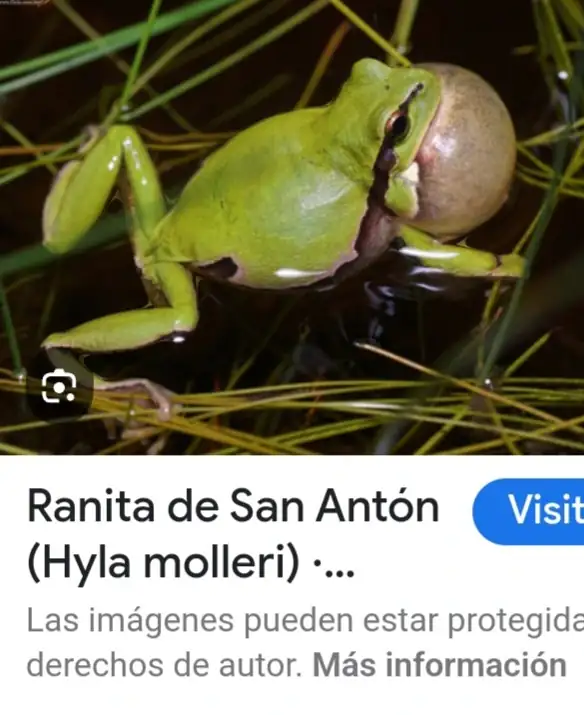 Screenshot_20240816_083215_Google.webp