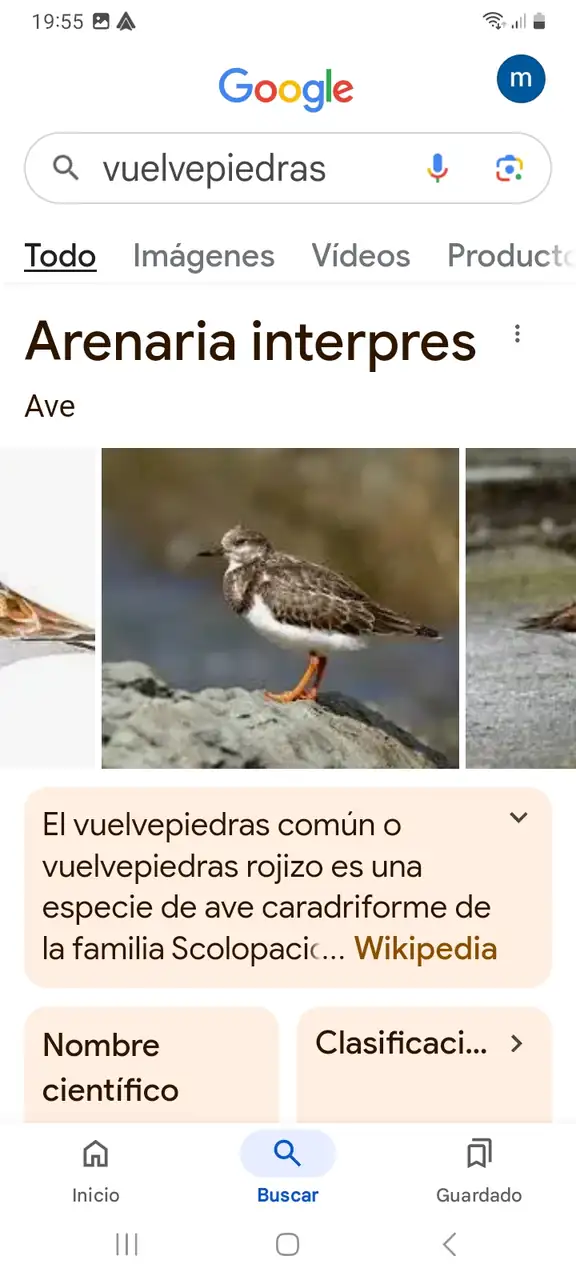 Screenshot_20241107_195554_Google.webp