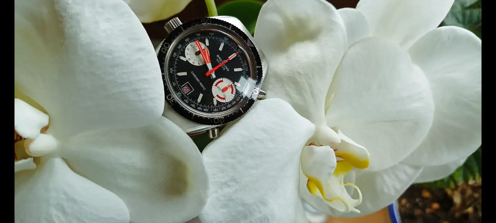 Screenshot_2025-04-19-19-41-10-447_com.miui.gallery.webp