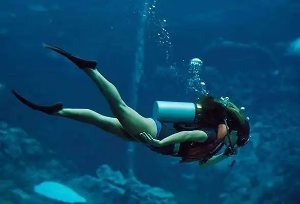 scuba-diving.webp