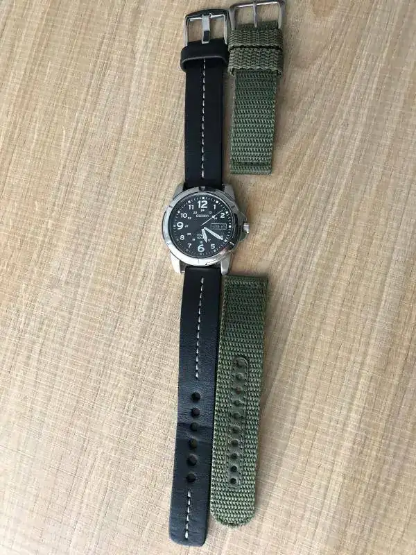 seagull correa nueva.webp