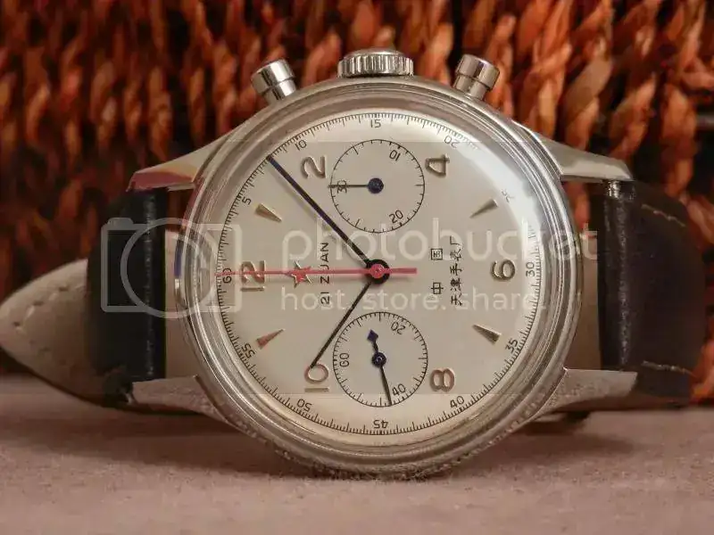 Seagull1963.webp