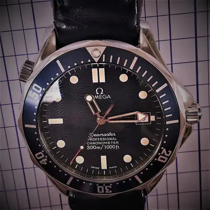 sealotro.webp