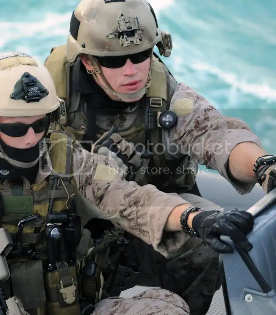 seals.webp