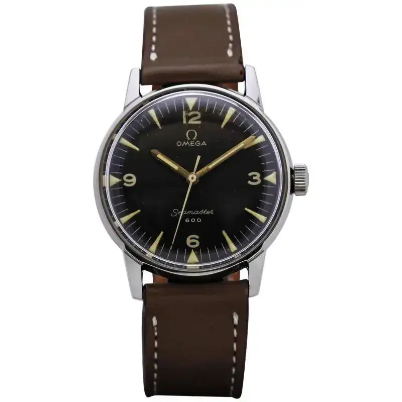seamaster 600.webp
